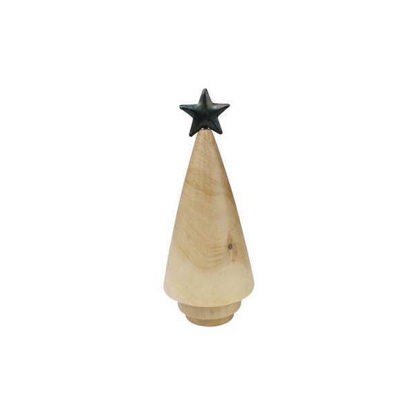 Copenhagen Tree with Star