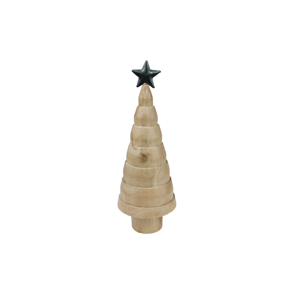 Copenhagen Tree with Star