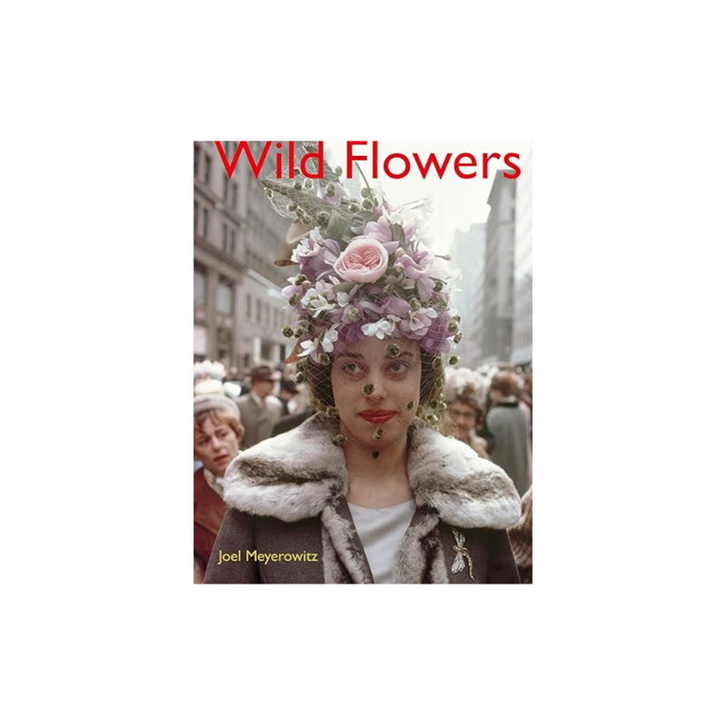 Wildflowers by Joel Myerowitz