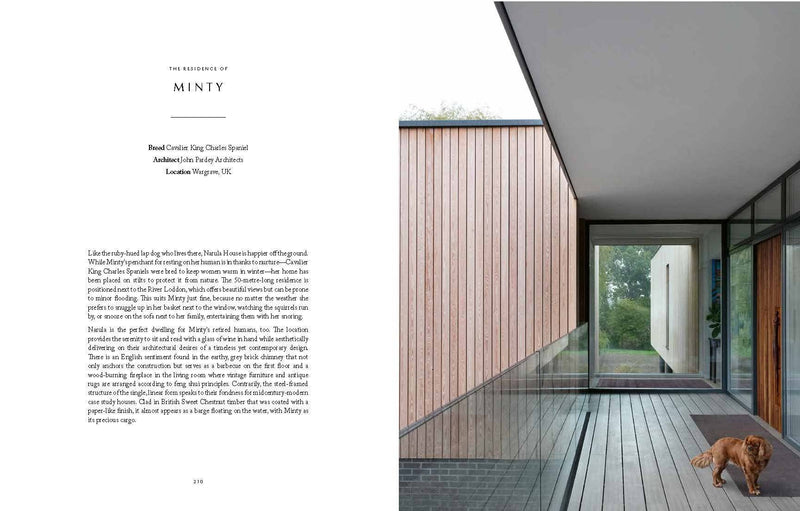 Resident Dog (Volume Two)